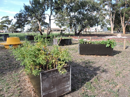 Scots Uniting Church orchard parkland